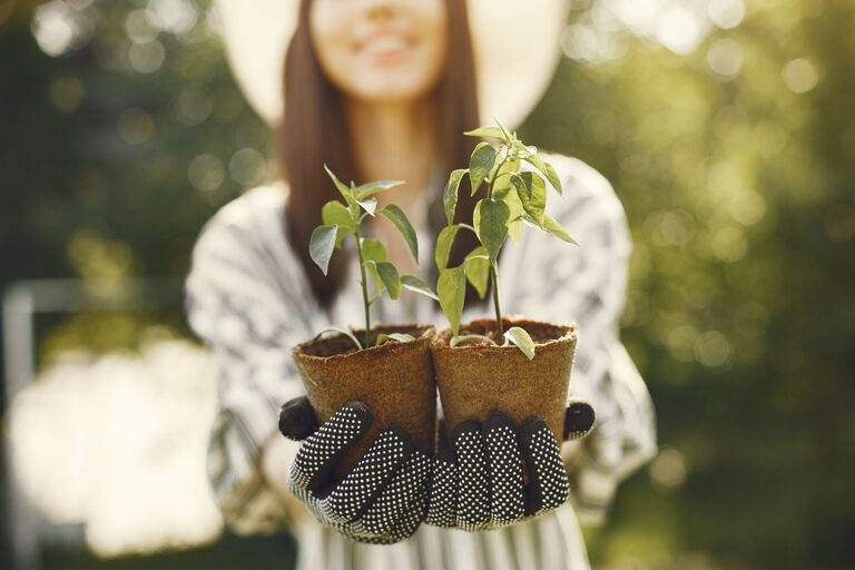 Tips for Creating a Sustainable and Eco-Friendly Home Garden All Year Round